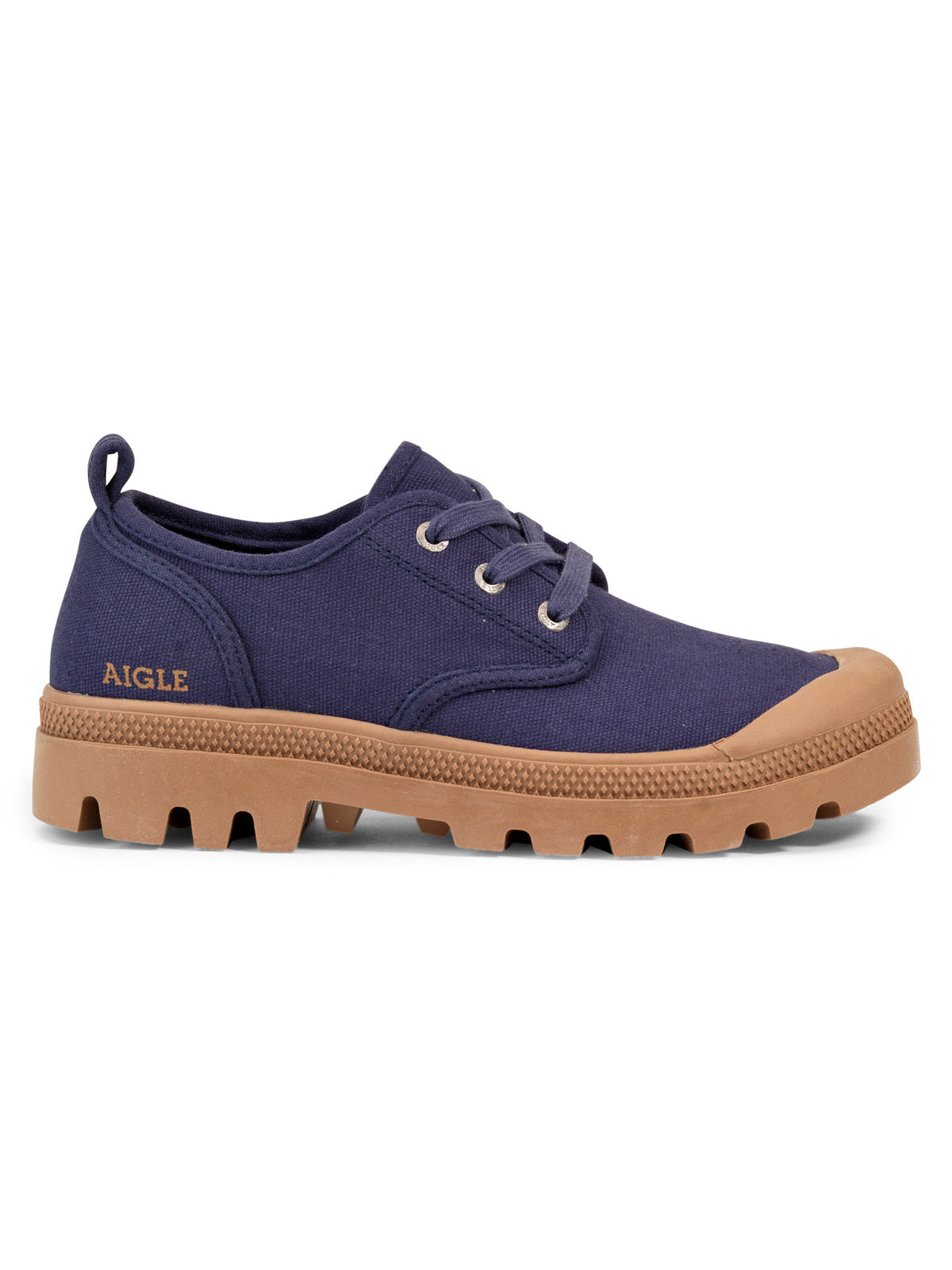 Aigle Terre M