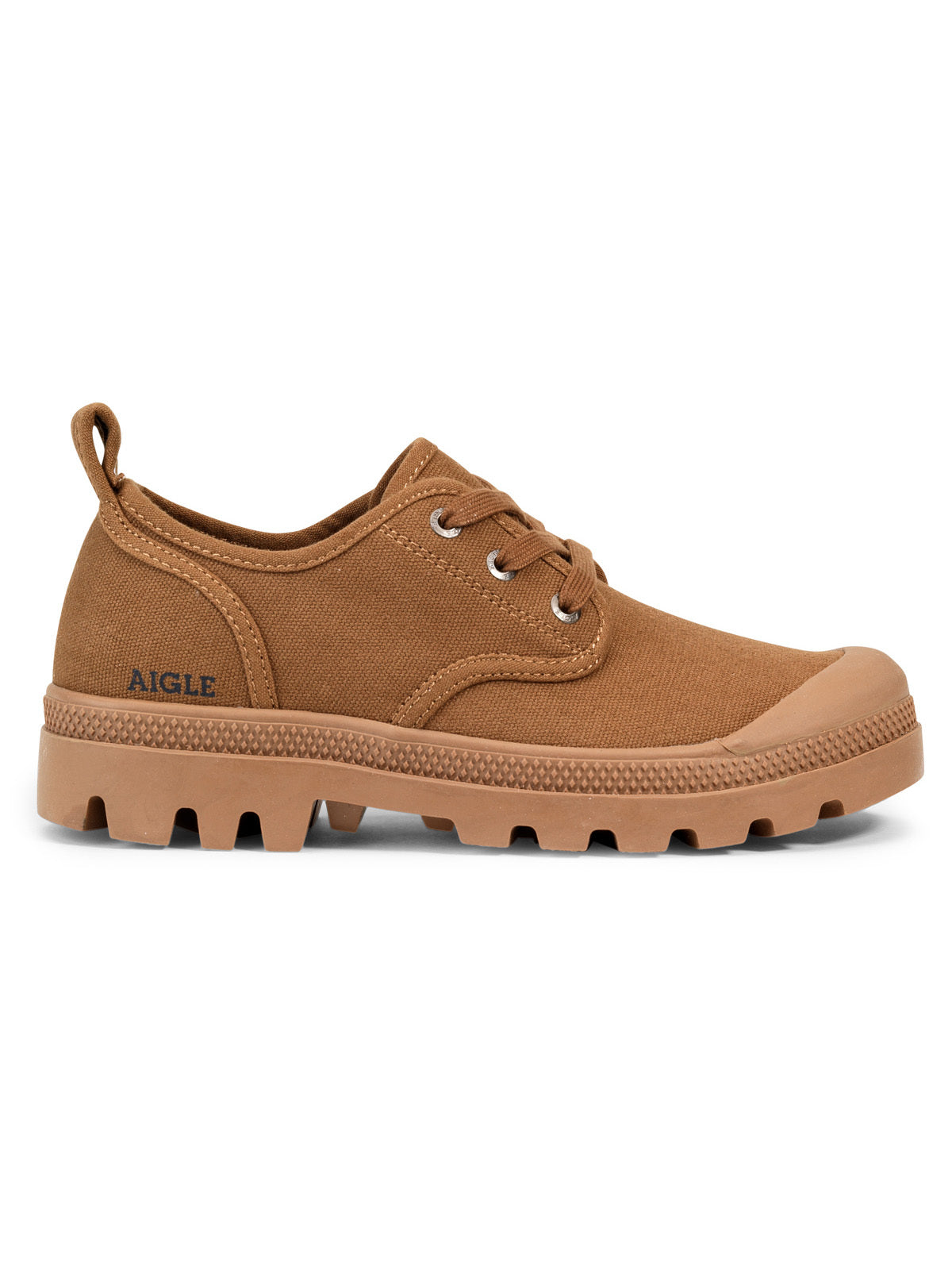 Aigle Terre M