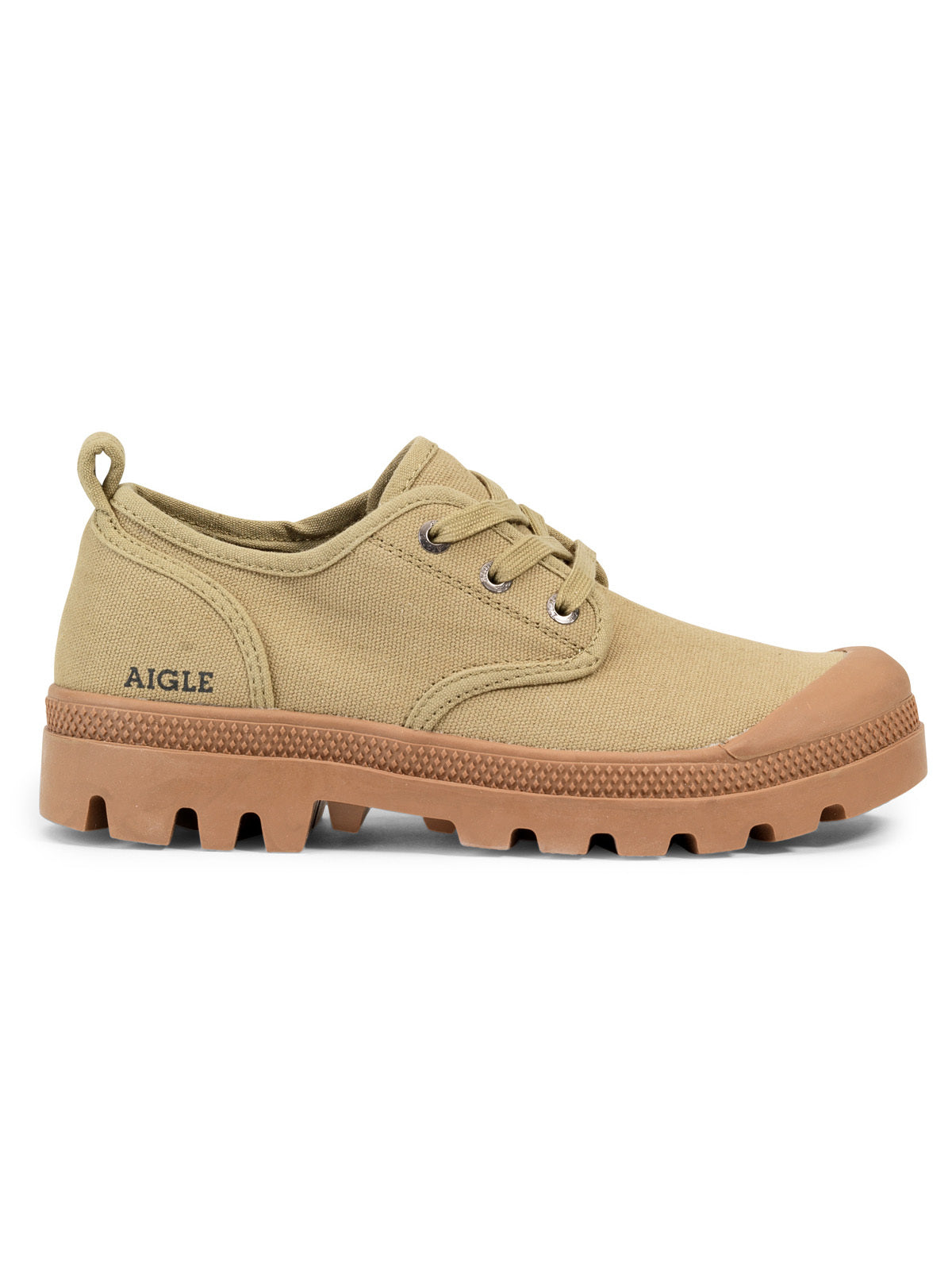 Aigle Terre M