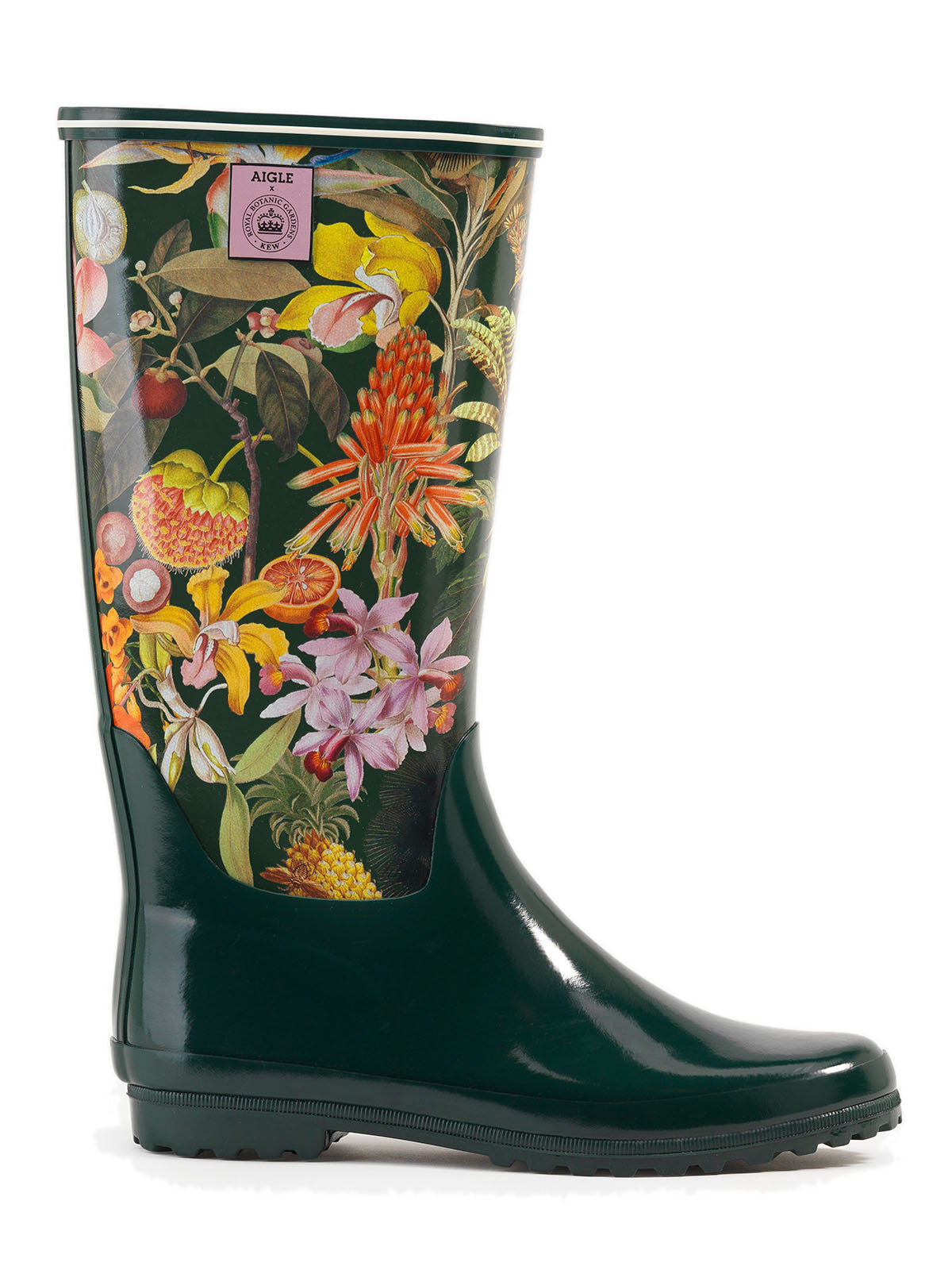 Aigle Venise Print
