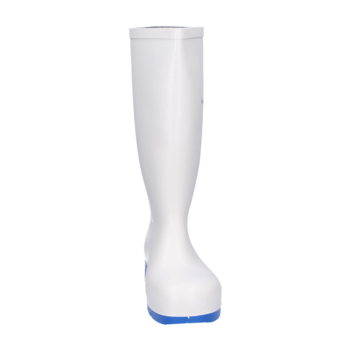 Dunlop Stiefel Acifort Classic+