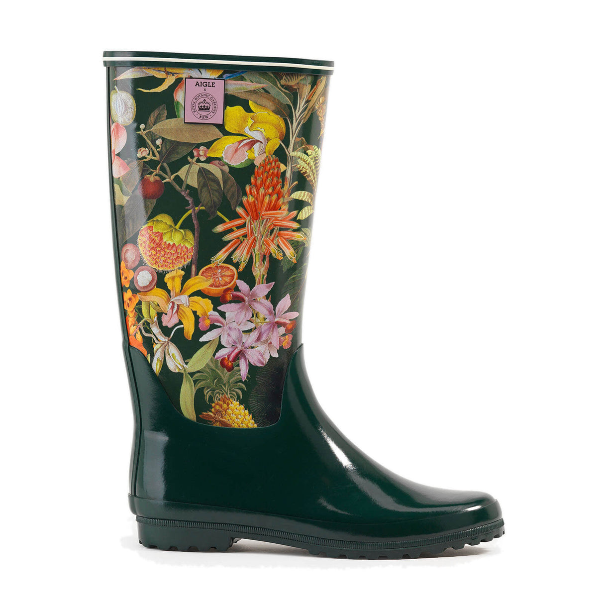 Aigle Venise Print