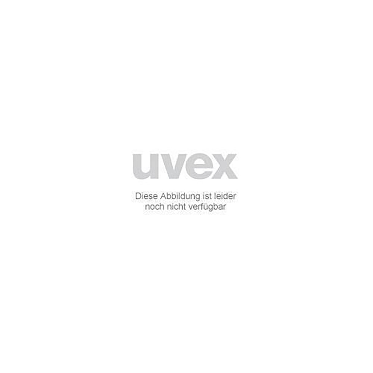 Ersatzscheibe 9723017 unbeschichtet - workXperts