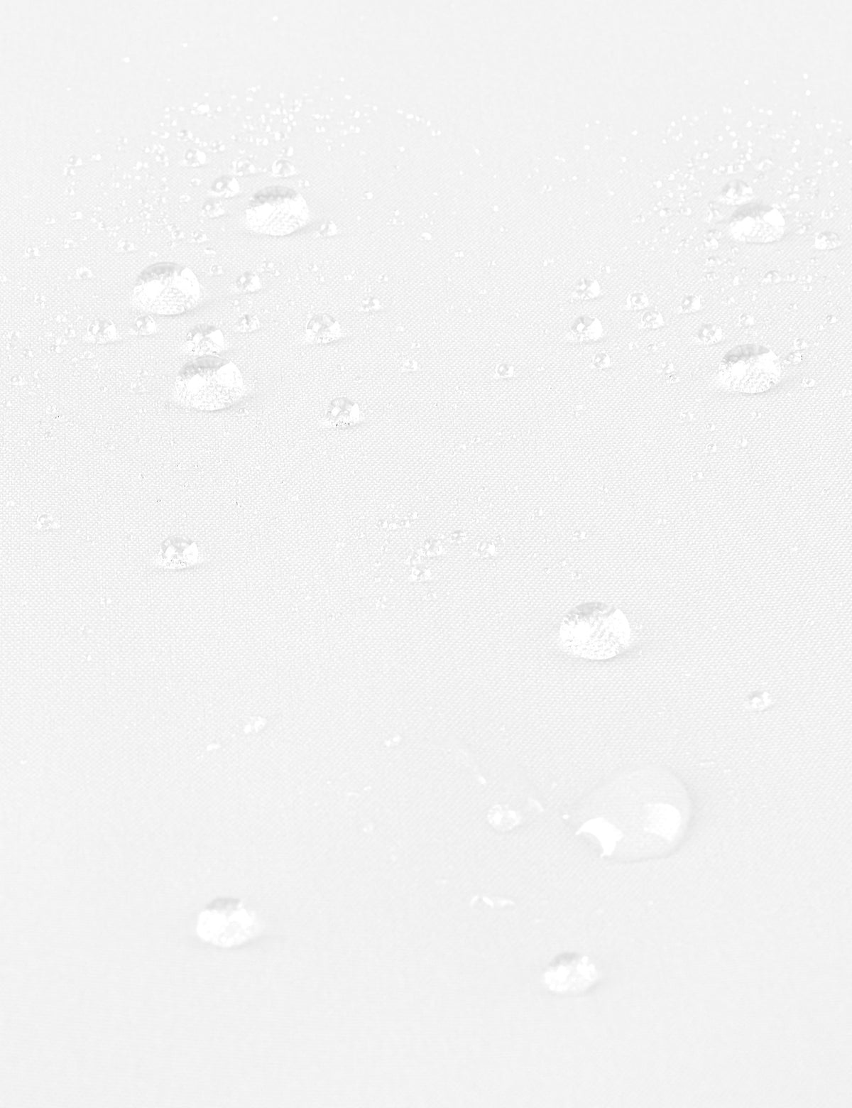 WALTER detail