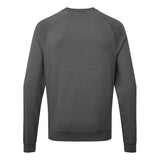 Portwest AS24 ESD Antistatik Sweatshirt – grau