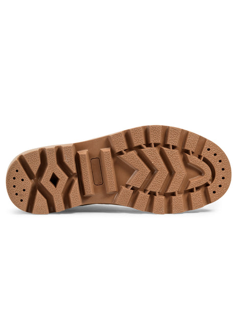 Aigle Terre M