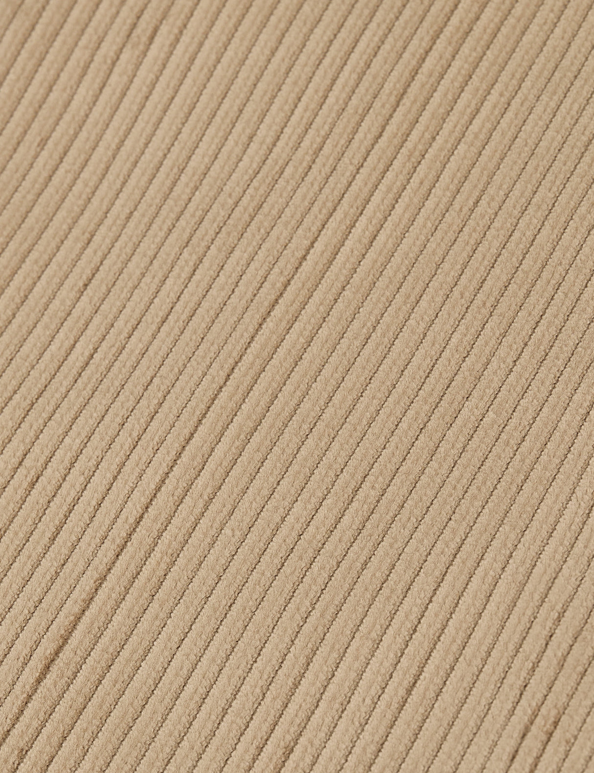 PAUL detail